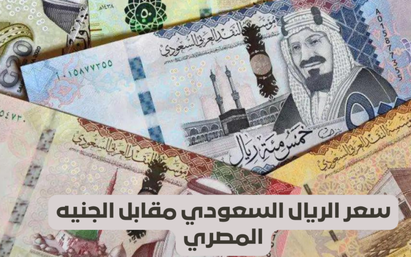 “الجنيه بيحتضر” سعر الريال السعودي في السوق السوداء والبنوك الخميس 11 يناير 2024