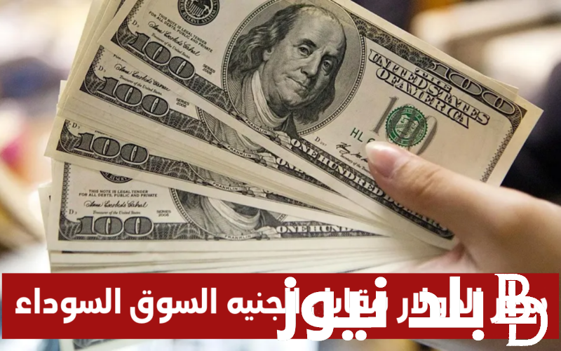 سعر الدولار مقابل الجنيه السوق السوداء 20/1/2024 وما هو أعلى سعر للدولار اليوم في السوق السوداء