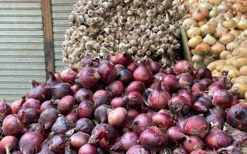 “البصل اتجنن” أسعار البصل الأحمر الجديد اليوم الثلاثاء 9 يناير 2024 للمستهلك في سوق العبور