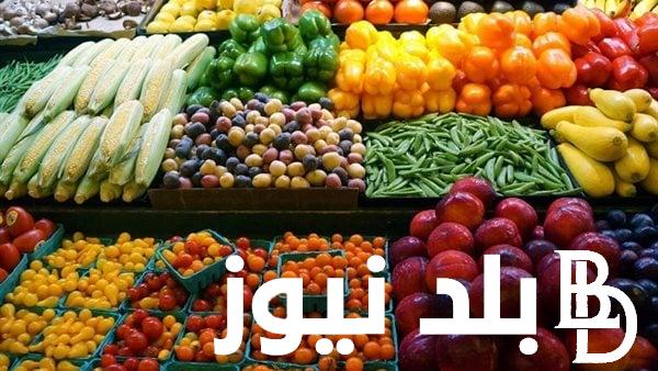 اسعار الفاكهة اليوم | اسعار الخضار بسوق العبور اليوم الثلاثاء 16/1/2024 للمُستهلك في مصر