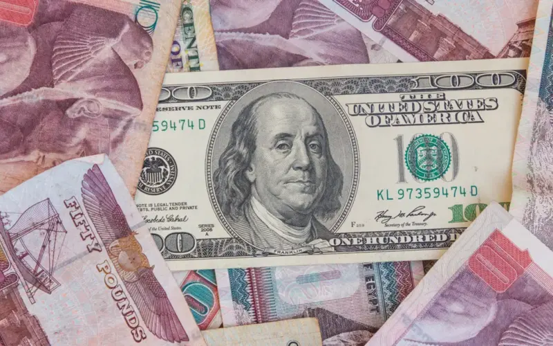 سعر الدولار اليوم في السوق السوداء الخميس 25 يناير 2024 وفي جميع البنوك المصرية