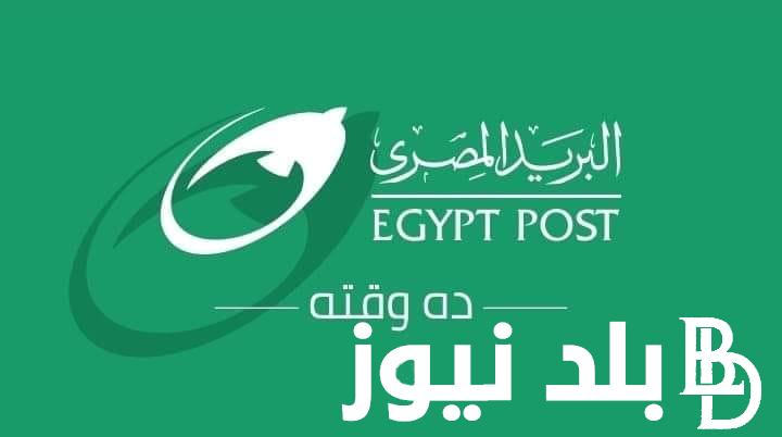 رابط التقديم لوظائف البريد المصري 2024 عبر الموقع الإلكتروني egyptpost.gov.eg والأوراق المطلوبة للتقديم