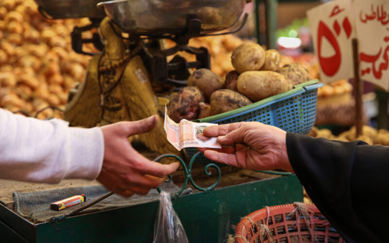 “مروراً بالخضار والفاكهة” ارتفاع الأسعار في مصر 2024 لكل السلع في الأسواق المحلية للمستهلك