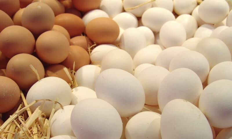 “البيضة بـ5 جنيه” سعر البيض اليوم السبت 6 يناير 2024 في بورصة الدواجن وأسواق التجزئة للمستهلك