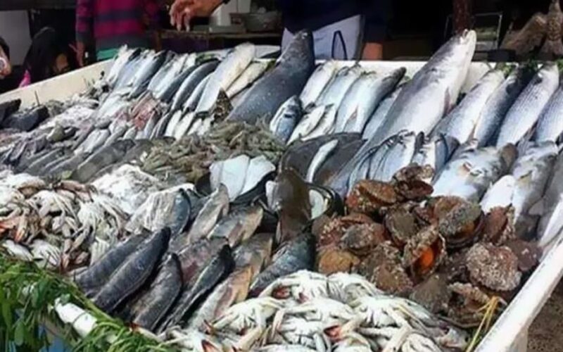 “البلطي بـ75” أسعار السمك اليوم للمستهلك السبت 27 يناير 2024 في مصر بسوق العبور