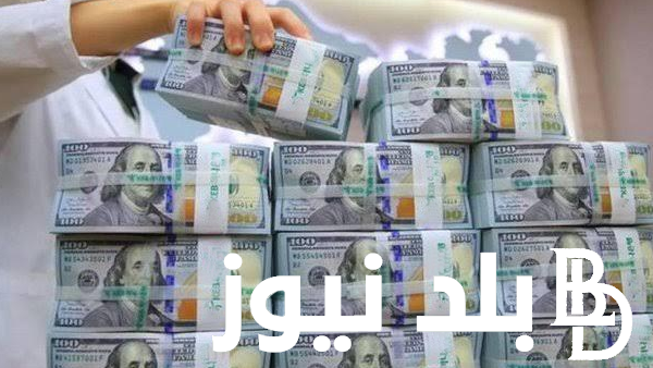 معنى توريق الايرادات الدولاريه.. مصر تدرس توريق 20% – 25% من إيراداتها لتمرير العام الاقتصادي الأصعب على مصر