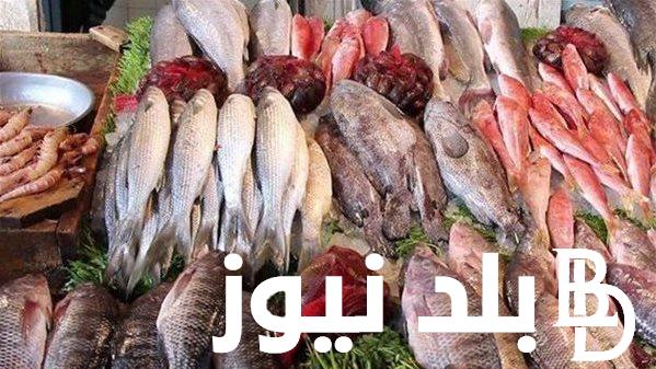 “بلطي وبوري” اسعار السمك اليوم الثلاثاء 16/1/2024 للمُستهلك والتاجر في سوق العبور