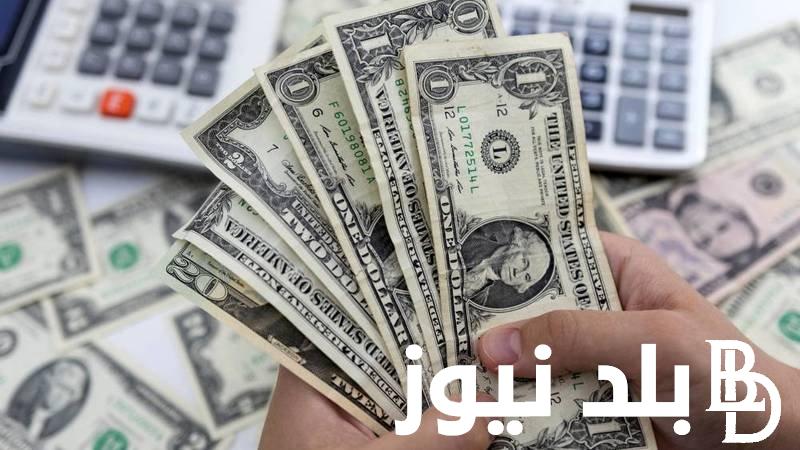 100 دولار كم جنيه مصري اليوم في السوق السوداء الاثنين 8 يناير 2024 امام الجنيه المصري