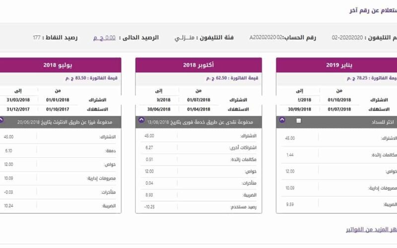 المصرية للاتصالات فاتورة التليفون الأرضي 2024 استعلام برقم التليفون وطرق الدفع