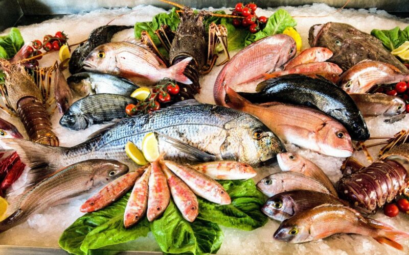 “أرخص من الخضار” اسعار السمك اليوم الاحد 7 يناير 2024 بسوق العبور وسوق التجزئة للمستهلك