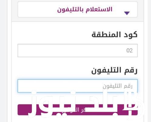 رابط استعلام فاتوره التليفون الارضي لشهر يناير 2024 عبر موقع المصرية للاتصالات وطرق الدفع