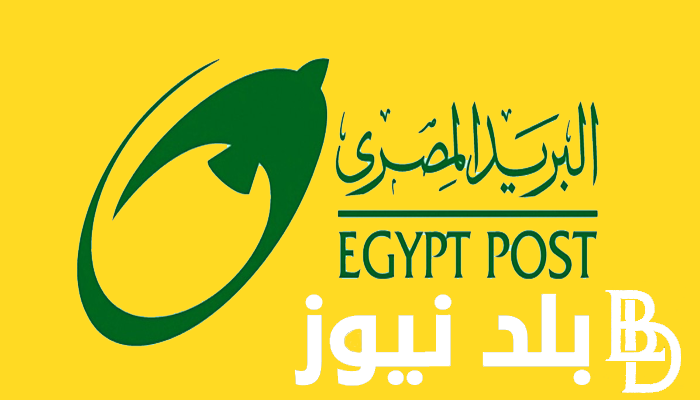 من هنا.. رابط التقديم لوظائف البريد المصري 2024 عبر موقع الوظائف الحكوميه jobs.caoa.gov.eg الأوراق والشروط المطلوبة