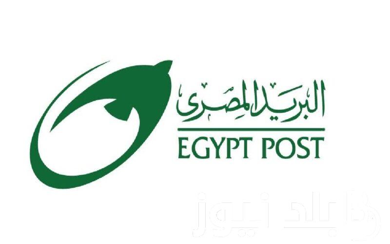 خطوات التقديم لوظائف البريد المصري 2024 عبر jobs.caoa.gov.eg وشروط التقديم