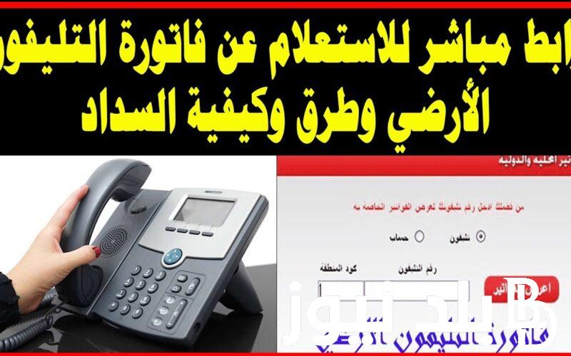 استعلام عن فاتوره التليفون الارضي لشهر يناير 2024 عبر موقع الشركة المصرية للاتصالات billing.te.eg