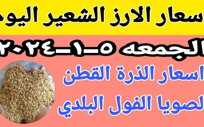 بكم سعر طن الأرز الشعير اليوم الجمعة 5 يناير 2024 وأسعار السلع الأساسية