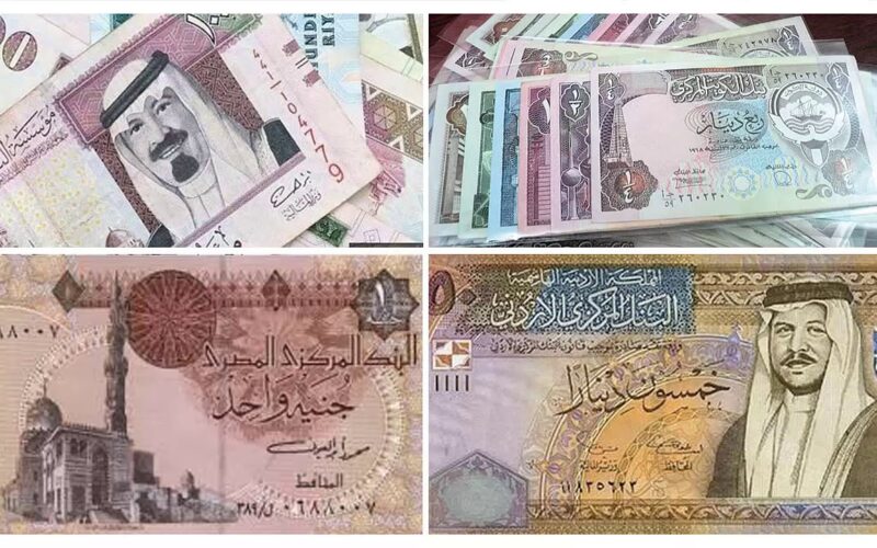 اسعار العملات اليوم في السوق السوداء بتاريخ 30 يناير 2024 امام الجنيه المصري