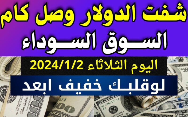 “الدولار في العالي” سعر الدولار في السوق السوداء في مصر اليوم الخميس 4 يناير 2024