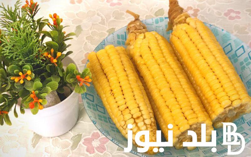 الأردب بكام؟.. سعر طن الذرة الصفراء اليوم الإثنين 1 يناير 2024 في مصر بجميع الأسواق المحلية