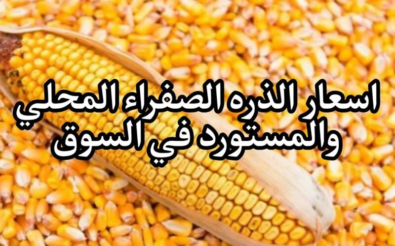 “المستورد والمحلي” سعر طن الذرة الصفراء اليوم الثلاثاء 9 يناير 2024 في الاسواق