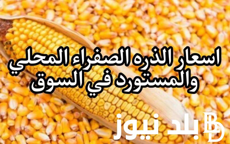 “محلي ومستورد” سعر طن الذرة الصفراء اليوم الخميس 4/1/2024 في كل الاسواق