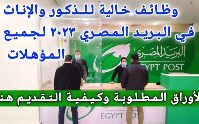 لينك التقديم لوظائف البريد المصري 2024 Egypt Post Jobs للمؤهلات العليا والشروط والاوراق المطلوبة