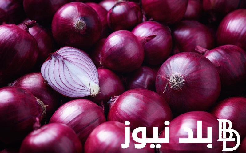 “فرصة للتخزين” سعر البصل اليوم الخميس 11 / 1 / 2024 في سوق العبور والاسواق المحلية