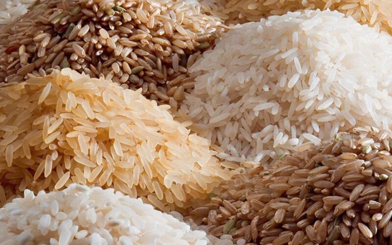 “السعر الجديد” سعر طن الأرز الشعير اليوم الاربعاء 24/ 1/ 2024 في الأسواق المحلية