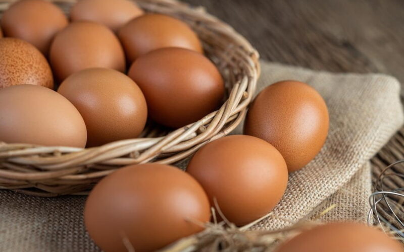 “البيضة وصلت 5 جنيه” سعر كرتونة البيض اليوم الثلاثاء 16-1-2024 للمستهلك في مصر