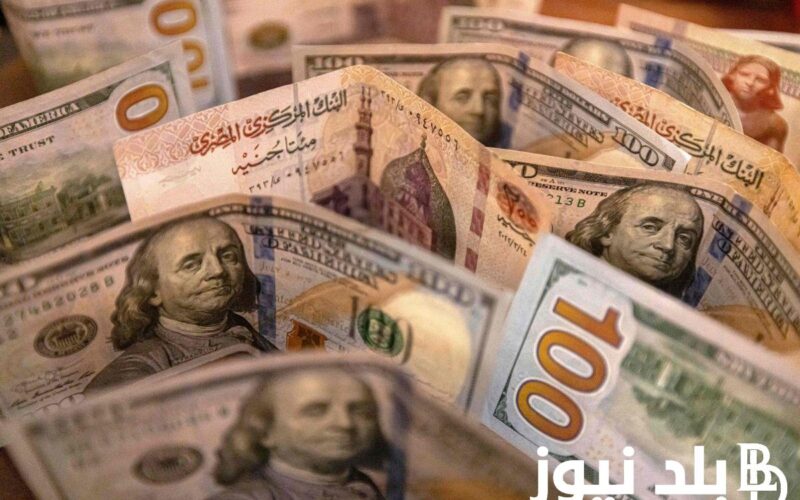 “الدولار فاق التوقعات” أسعار العملات في السوق السوداء اليوم في مصر السبت بتاريخ 20 يناير 2024