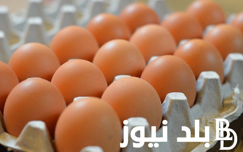 سعر البيض اليوم الثلاثاء 30 يناير في بورصة الدواجن والاسواق المحلية