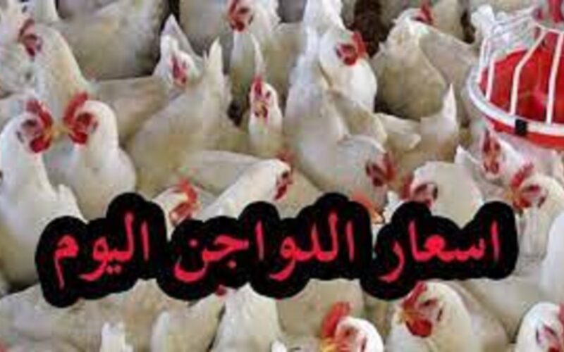 “الاسعار الرسميه” بورصة الدواجن اليوم الفراخ البيضاء الثلاثاء 9 يناير 2024 للمستهلك في مصر