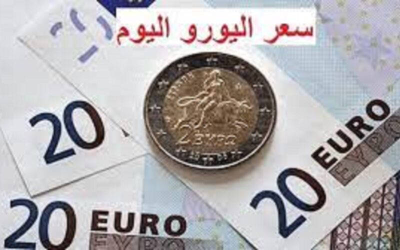 تعرف على سعر اليورو في مصر بالسوق السوداء اليوم الاربعاء 24 يناير 2024 امام الجنيه المصري
