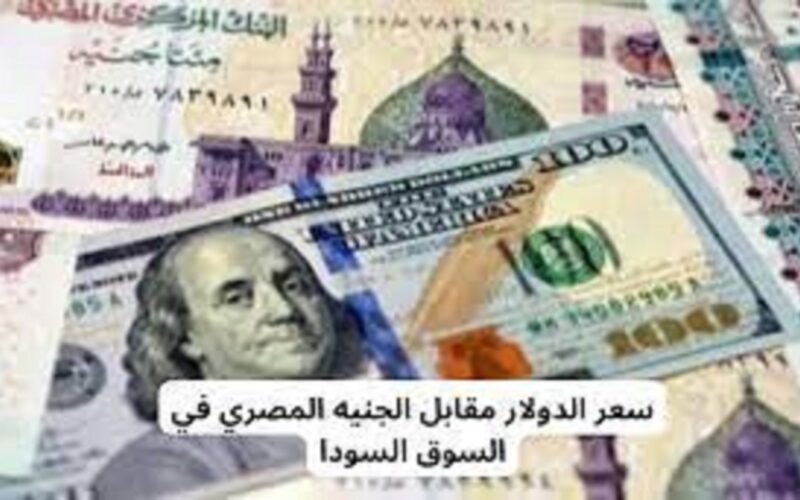 الدولار بكام النهاردة في السوق السودا؟ تعرف على سعر الدولار امام الجنيه المصري