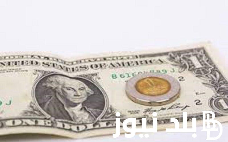 100 دولار كم جنيه مصري 2024 اليوم الخميس 11 يناير 2024 بالسوق السوداء وبالبنوك