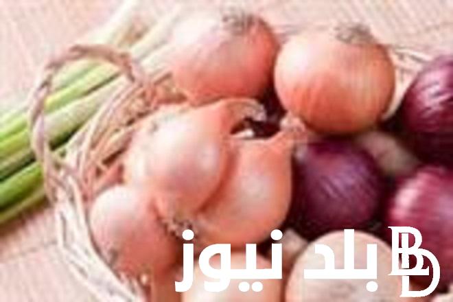 كم سعر البصل اليوم في سوق العبور الاثنين 22 يناير 2024 للمستهلك في مصر
