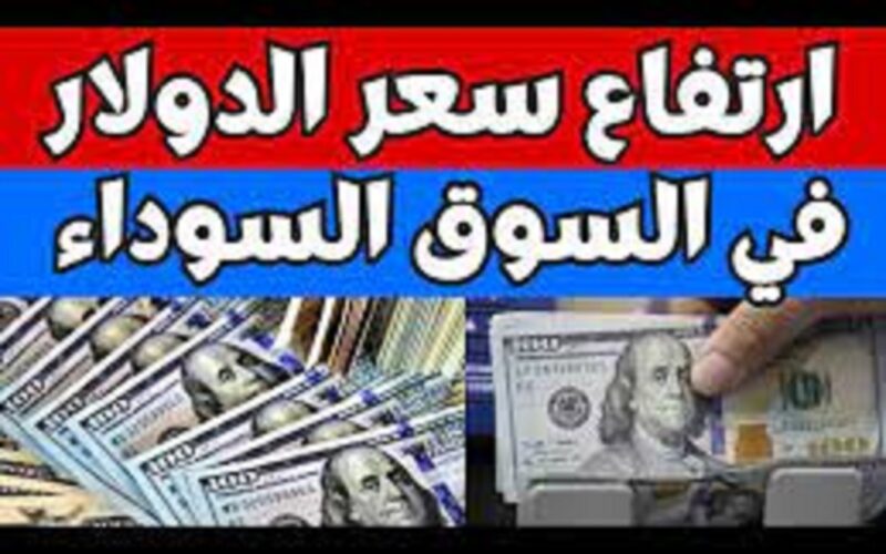“الاخضر بكام” أعلى سعر للدولار اليوم في السوق السوداء الثلاثاء 9 يناير 2024 امام الجنيه المصري