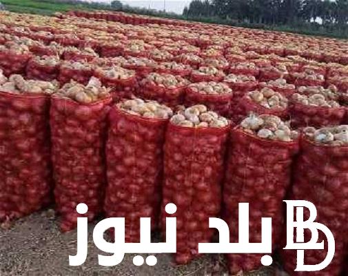 اسعار البصل اليوم الاثنين 1 يناير 2024 لجميع المصريين في سوق العبور و سبب ارتفاع سعر البصل