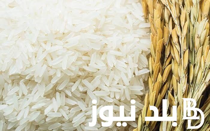 “الأرز بكام؟!” سعر طن الأرز الشعير اليوم الاربعاء 10 يناير 2024 للمستهلك في مصر