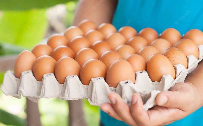 “البيضة بكام النهاردة؟” اسعار البيض اليوم الاحمر والابيض والبلدي الخميس 11 يناير 2024 للمستهلك في مصر