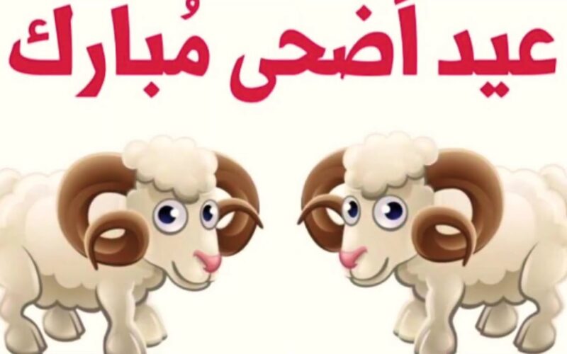 “اشتري خروف العيد”موعد عيد الأضحى 2024 في مصر وجدول العطلات الرسمية لعام 2024