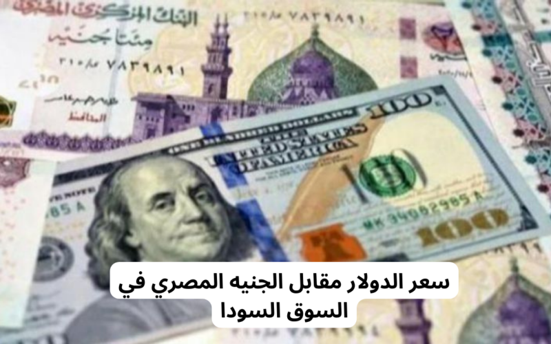 تعرف علي سعر الدولار اليوم مقابل الجنيه المصري في السوق الموازية بتاريخ 5 فبراير 2024