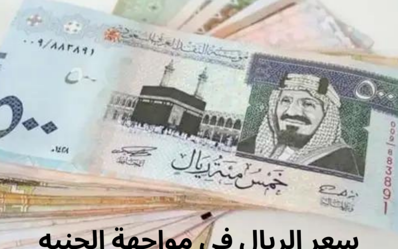 انهيار الريال السعودي.. سعر الريال السعودي في السوق السوداء في مصر اليوم الاثنين 19 فبراير 2024