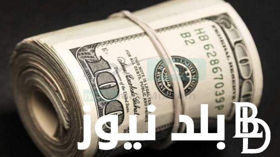 1000 دولار كم جنيه مصري في السوق السوداء اليوم الاثنين 5 فبراير 2024 وفي البنك المركزي