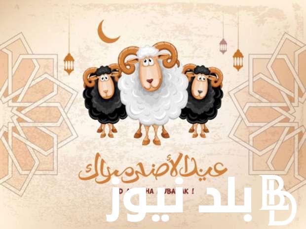 “العيد يعني لبس جديد” موعد العيد الكبير في مصر 2024 وافضل رسائل التهنئة مكتوبة ترسلها لعائلتك واصدقائك