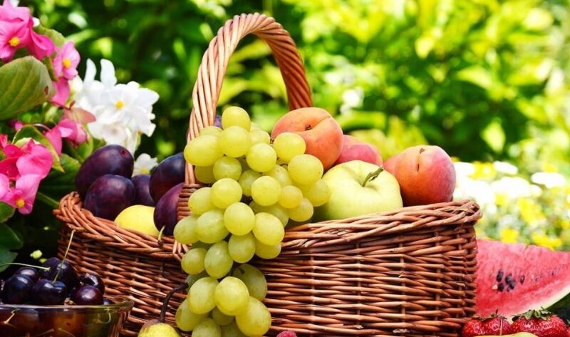 أسعار الخضروات والفاكهة اليوم الاربعاء 7 فبراير 2024 بسوق العبور