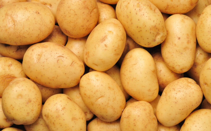 قائمة أسعار البطاطس اليوم في سوق العبور الخميس 29 فبراير 2024 للمستهلكين