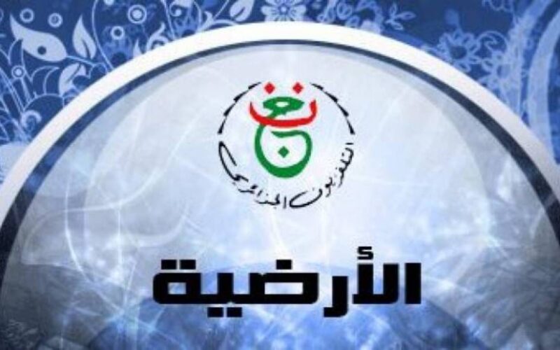 “الشوط الثاني” تردد قناة الجزائرية الارضية 2024 لمتابعة مباراة نهائي كأس أمم أفريقيا