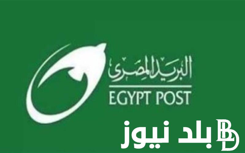 رابط تقديم وظائف البريد المصري 2024 عبر jobs.caoa.gov.eg وخطوات التقديم