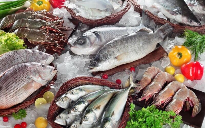 أسعار السمك اليوم للمستهلك فى مصر فى جميع منافذ البيع المصريه