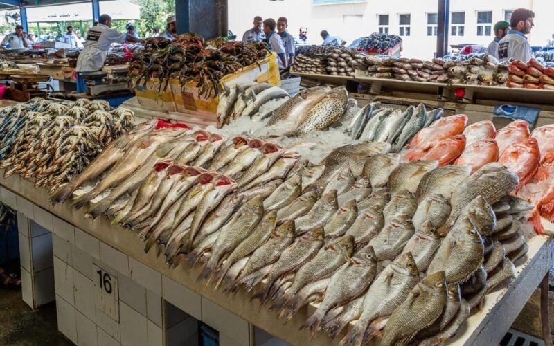 “السمك وصل لكام” تعرف على أسعار السمك اليوم السبت 17 فبراير 2024 بجميع الاسواق